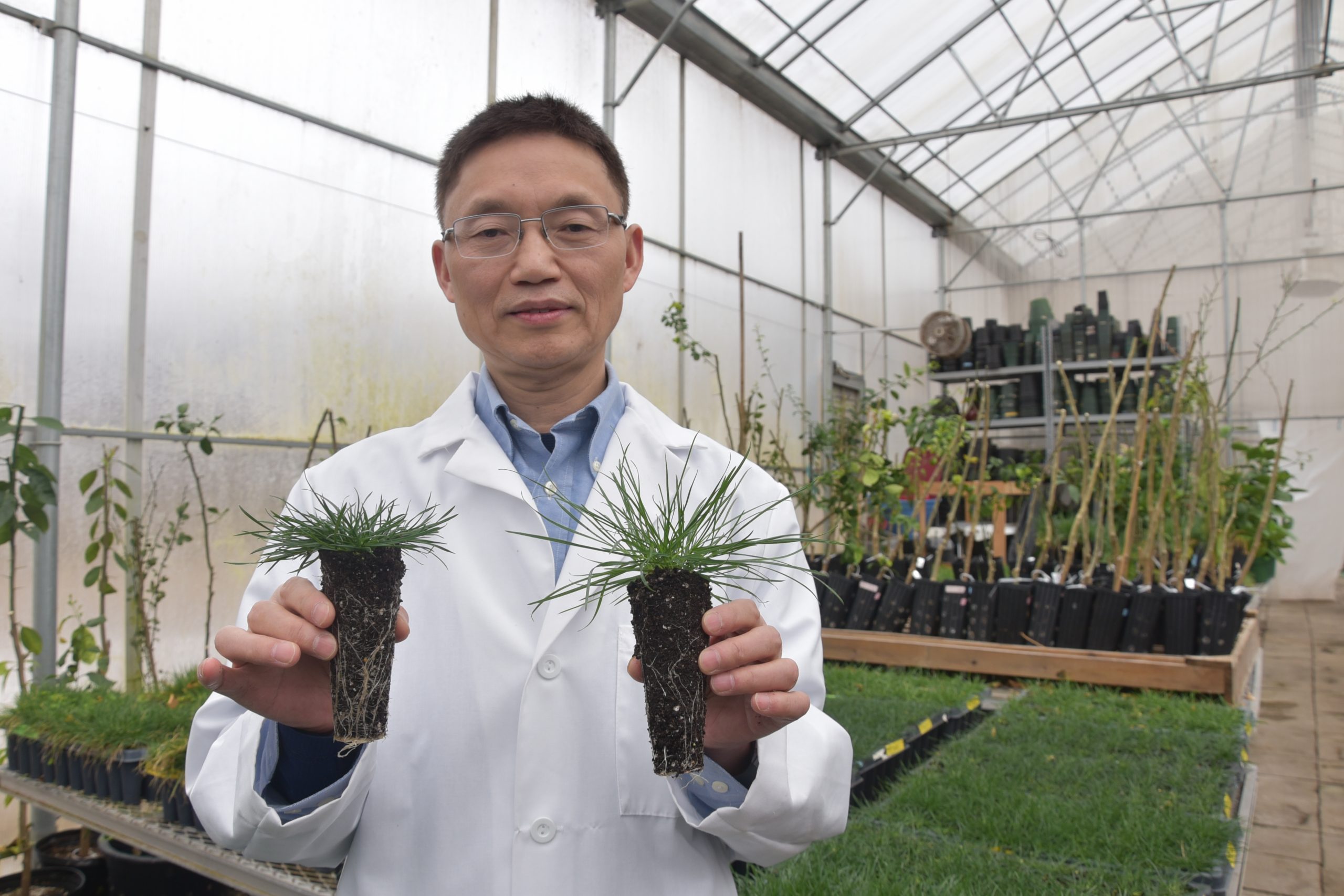 Asian man holding plants standing in a greenhouse