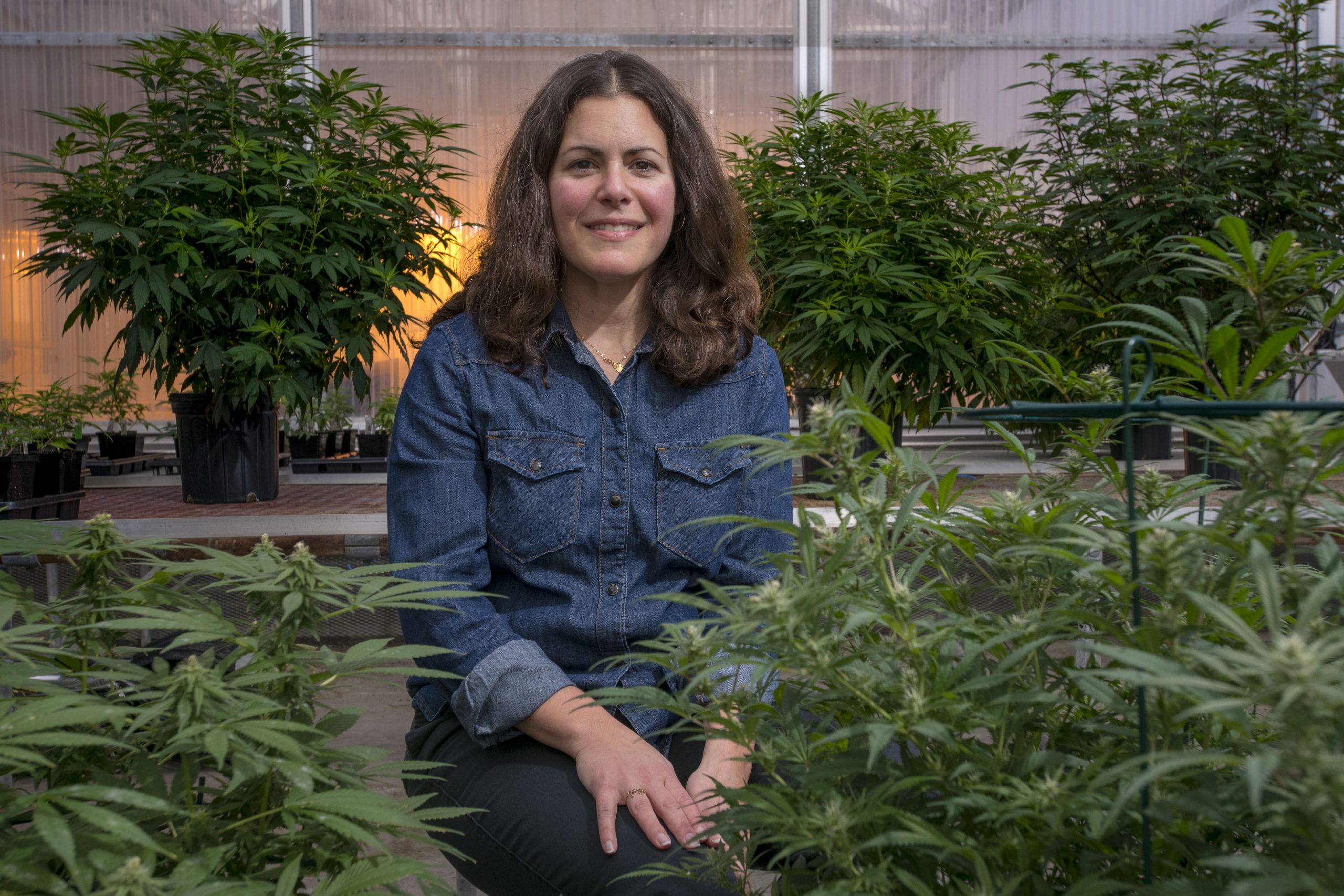 Smiling woman sitting in greenhouse amongst cannabis plants
